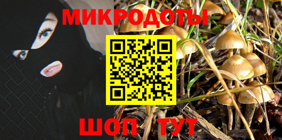 Родники  Псилоцибиновые грибы GOLDEN TEACHER  Вход с VPN  Галлюциногенные грибы GOLDEN TEACHER 