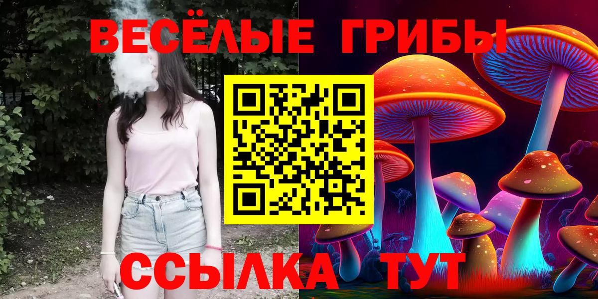 Галлюциногенные грибы GOLDEN TEACHER Родники